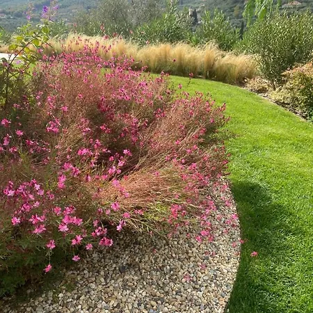 Vakantiehuis Laserrafelice *