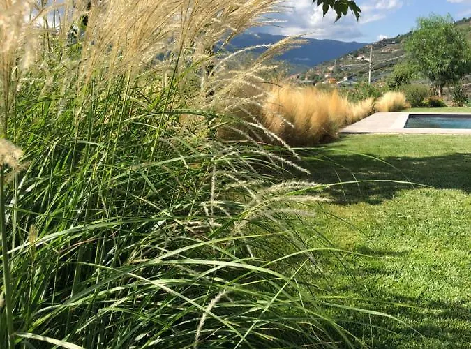 Casa de Férias Laserrafelice *